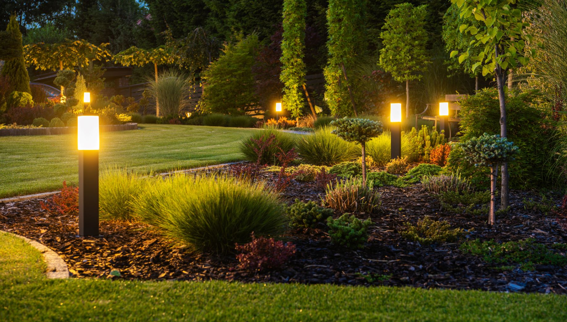 landscape at night