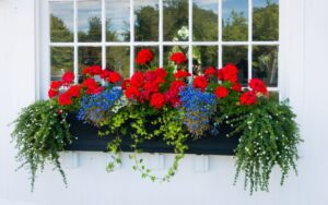red, white and blue landscape